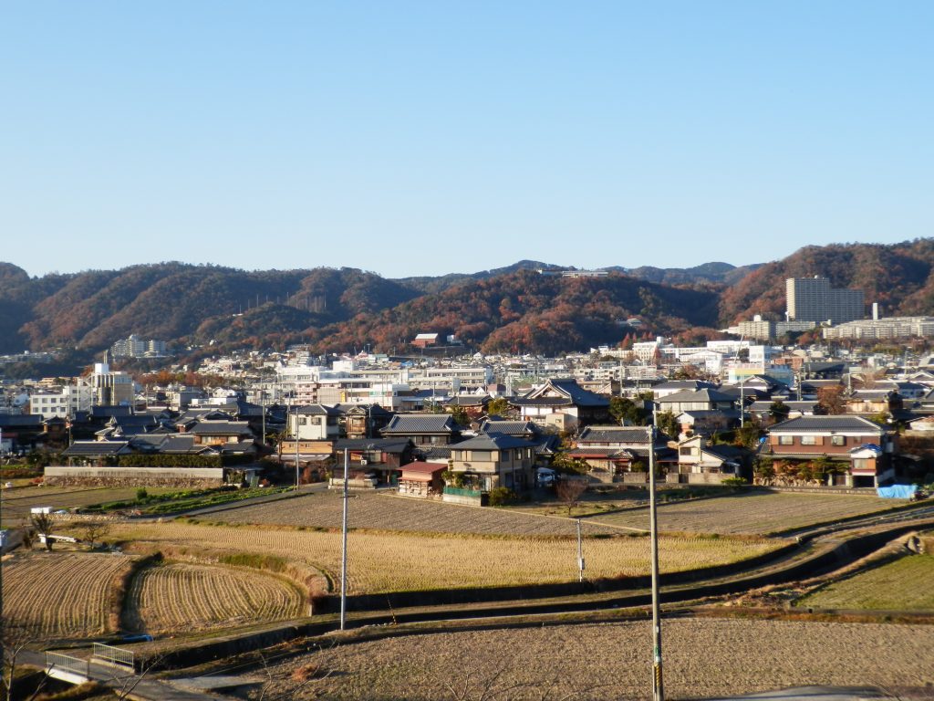 箕面山の紅葉